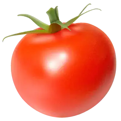 home tomato